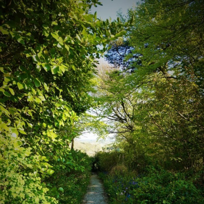 Leading you down the garden path...