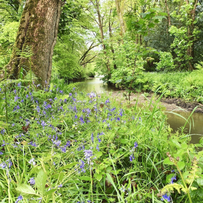 Beautiful riverside walks on our 40 acre private estate