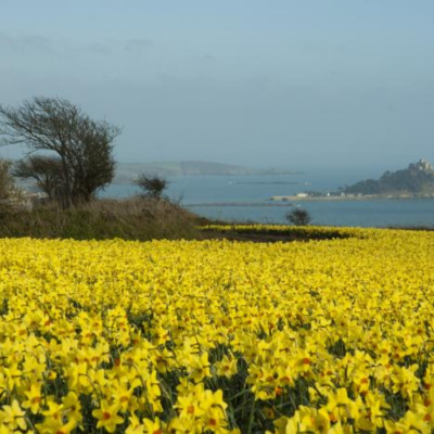 St Michael's Mount in distance 