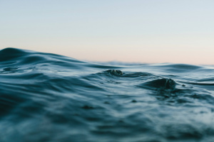 C:\fakepath\matt hardy 6ArTTluciuA unsplash min